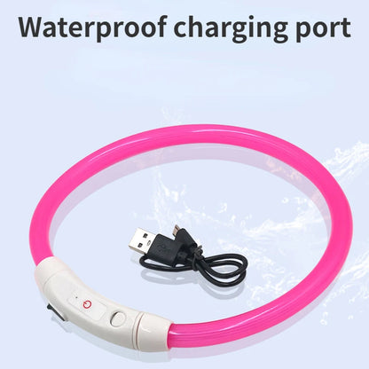 LED Pet Luminous Collar USB Charging Collar Teddy Anti Lost Collar Dog Cat Accessories Supplies